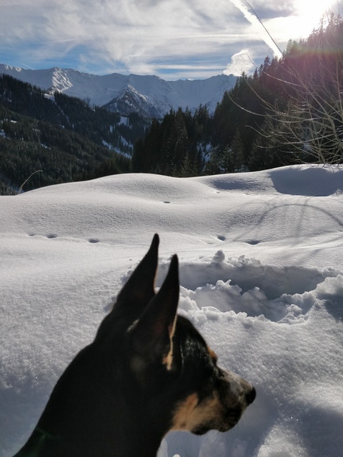 1 IMG 20171231 131346