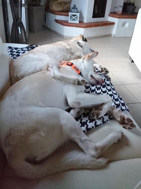 1 cid 2ce27e8e 21b0 41a7 b2cb 0909858804b6