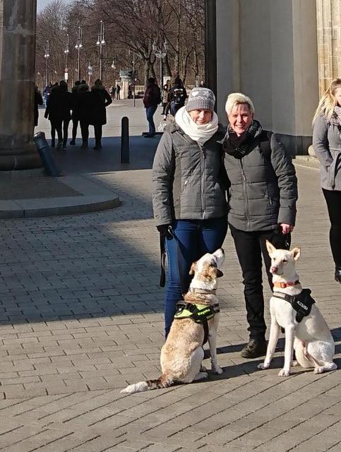 1 cid 380a4d9c 0de7 4c6a 9530 9b1144cde7a2