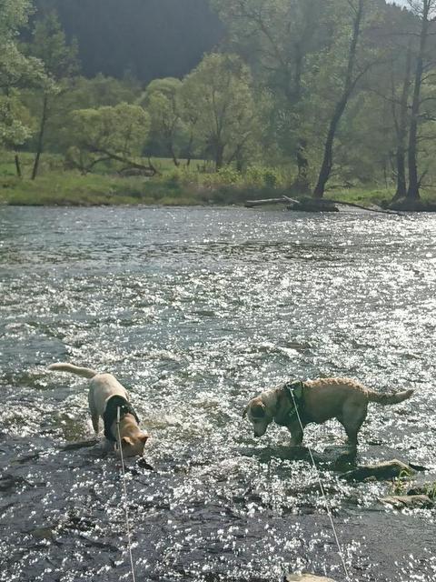 1 cid 75f1d6ca 2516 4f1a a4d8 5028087684ce