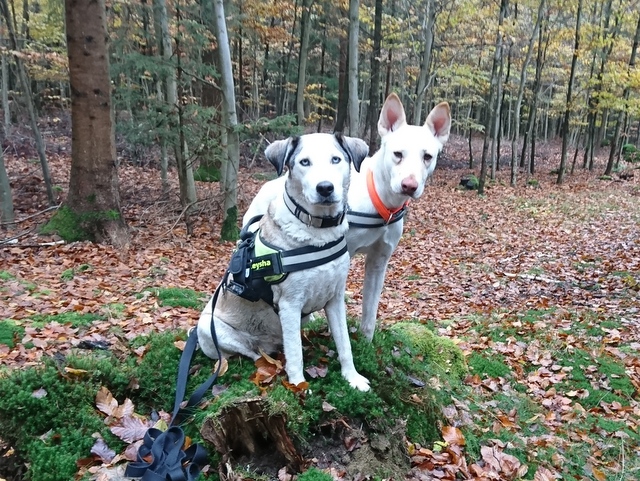 1 cid b2dc14a9 e2a8 4874 ac4a 3561452bcb53