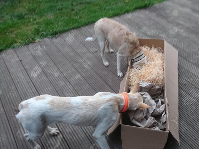 1 cid cee278c7 287f 4c8a 96eb 9a941e8cabe6