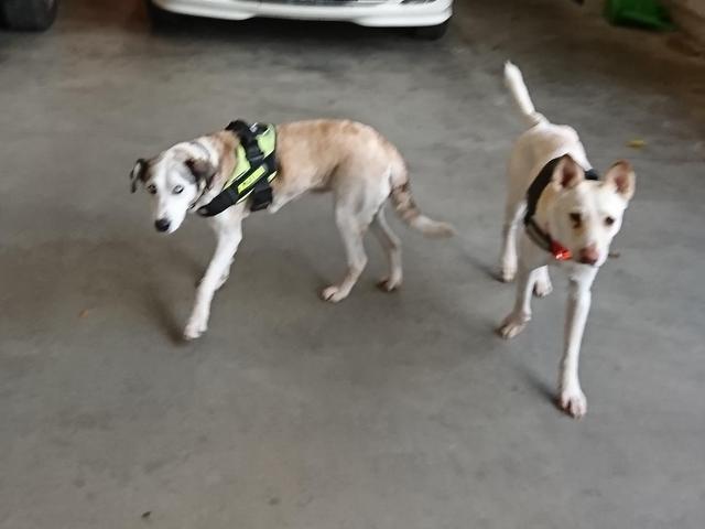 1 cid d832145b 1a82 4d3d b78b fe9d6f2f41ae