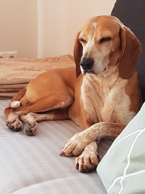 1 IMG 20170608 WA0012