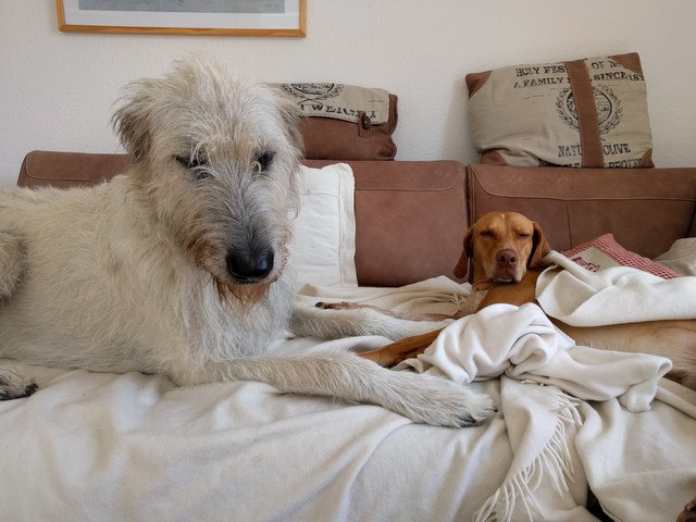 1 IMG 20170903 132958