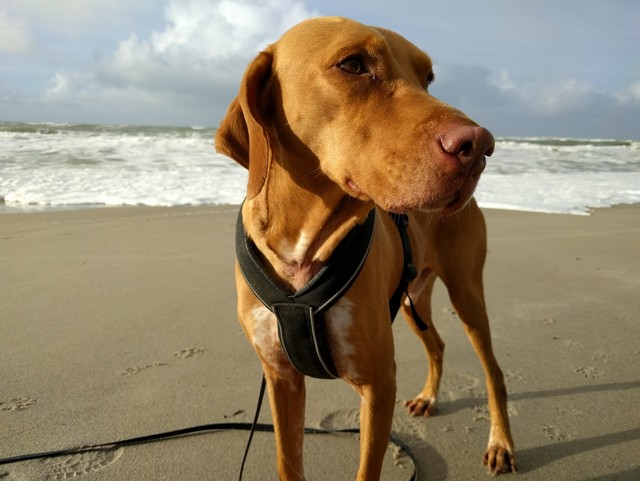 1 IMG 20171126 123143