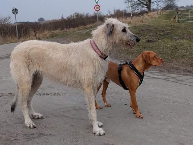 1 IMG 20180219 155719