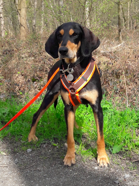 1 20180415 151627 001