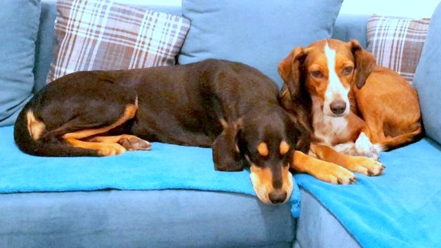 1 IMG 20180418 WA0005