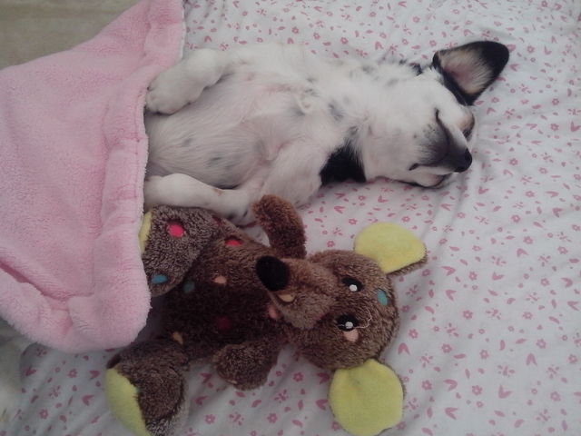 1 IMG 20170613 173550