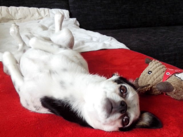 1 IMG 20170730 140337