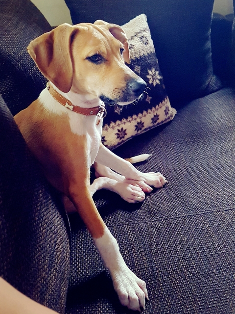 1 cid 061b5c94 d068 4c8e 81b3 056eeffe1170