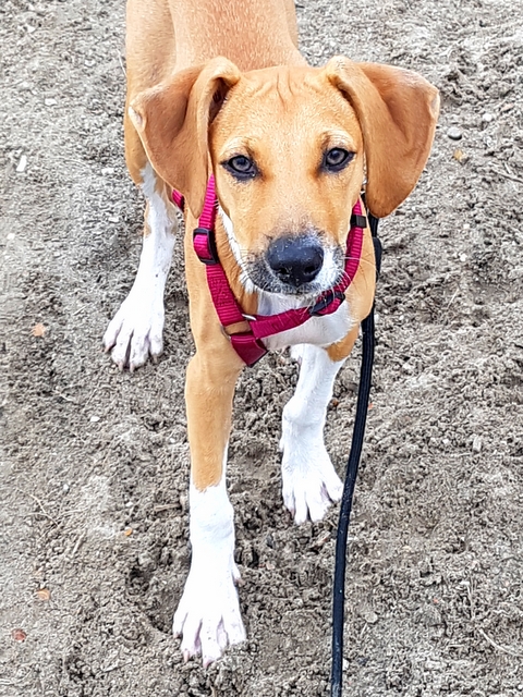 1 cid 339609cd 3d32 47c2 88db 84c71e0a9f3e