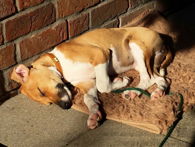 1 cid b7611246 1b4d 488e 8db7 529e6befb909