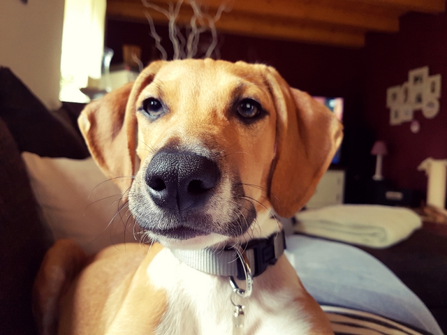 1 cid d83d2ba8 97e9 43d5 8e5f c23e1510a1cd