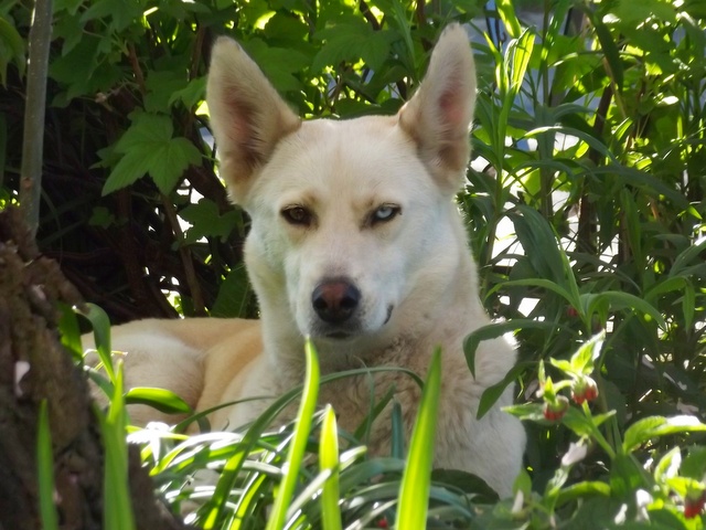 1 IMG 20180708 121214 131