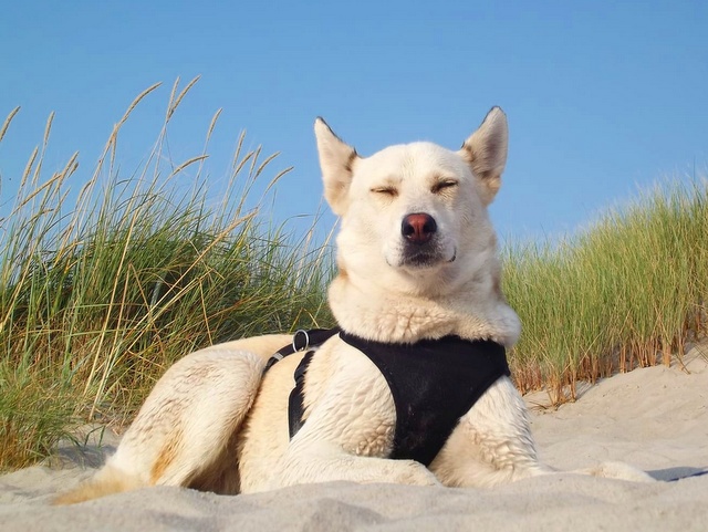 1 IMG 20180726 143944 976