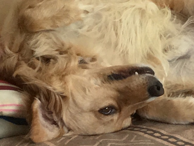 1 cid 1634429111254d429ea2