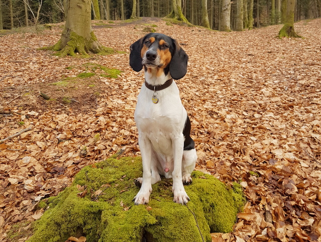 1 20170307 135537 001