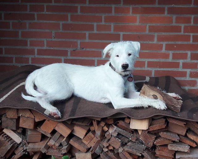 1 39900425 2150236821891100 1610092928993067008 o