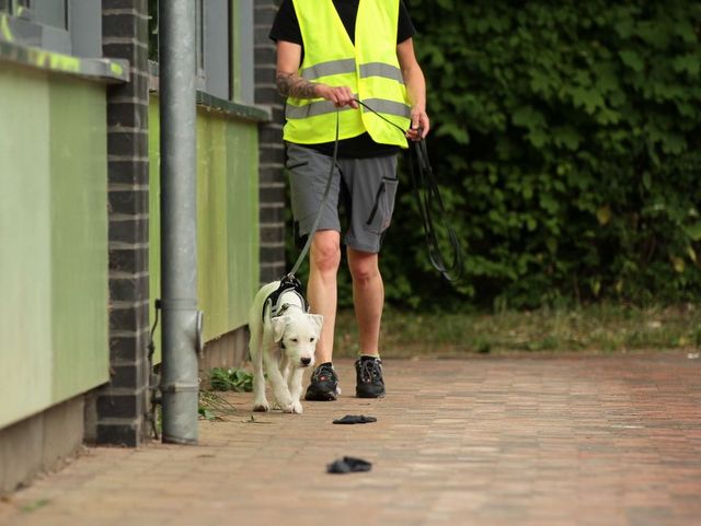 1 IMG 20180610 WA0042