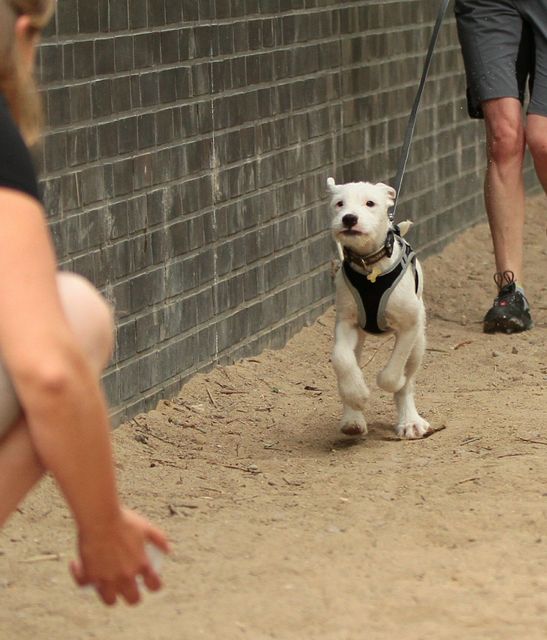 1 IMG 20180610 WA0047