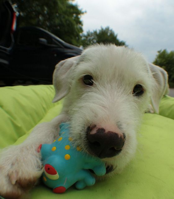 1 IMG 20180610 WA0049