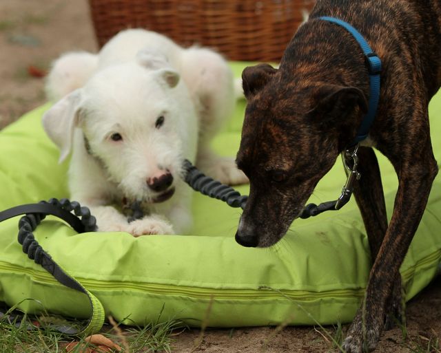 1 IMG 20180628 WA0030