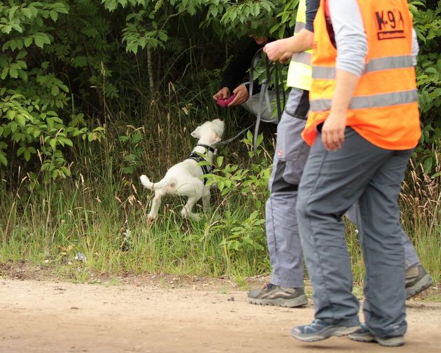 1 IMG 20180628 WA0170