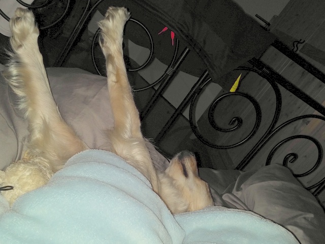 1 IMG 20170513 0313026