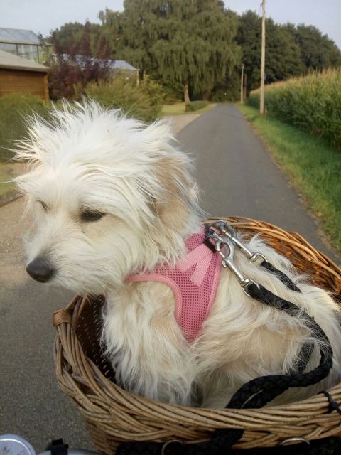 1 864e360d e2a3 4a1a 9e75 4944bf510028