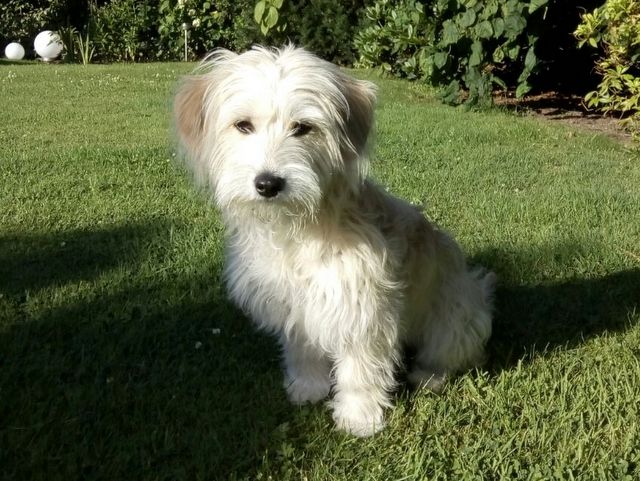 1 bf95e42f 7c14 4f46 b067 425cc4ec4c6b