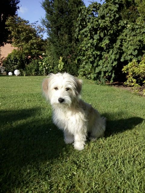 1 bf95e42f 7c14 4f46 b067 426