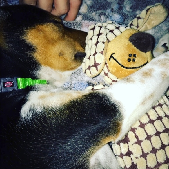 1 cid 44844D56 EDDB 4BC4 8227 88E24EDD28C6