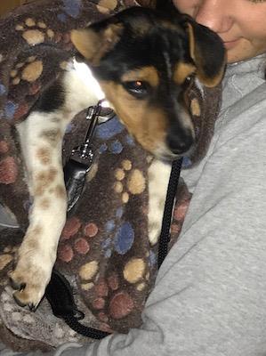 1 cid BD95E0C3 D1C4 4617 85CB F56A88EE681D