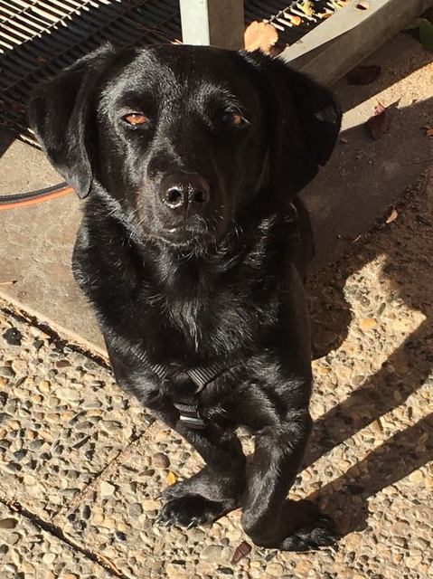 1 IMG 20171029 WA0007