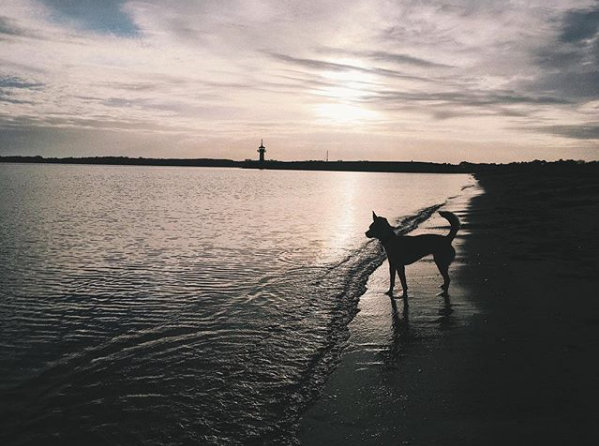 1 cid ii 1619f0f345f9d4ec