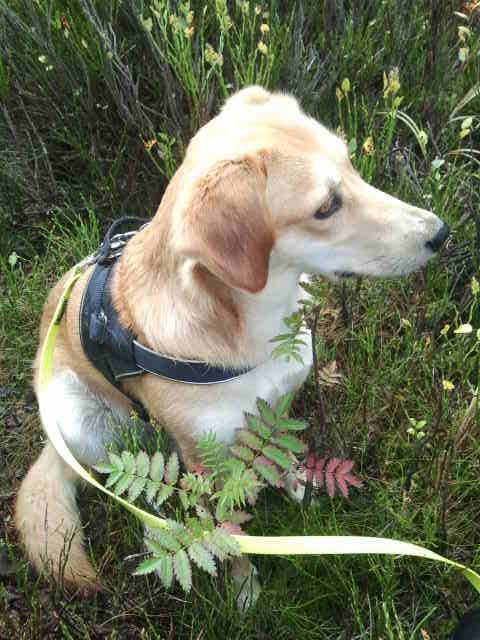 1 2017 10 01 12.37.18