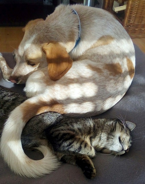 1 IMG 20170309 152433