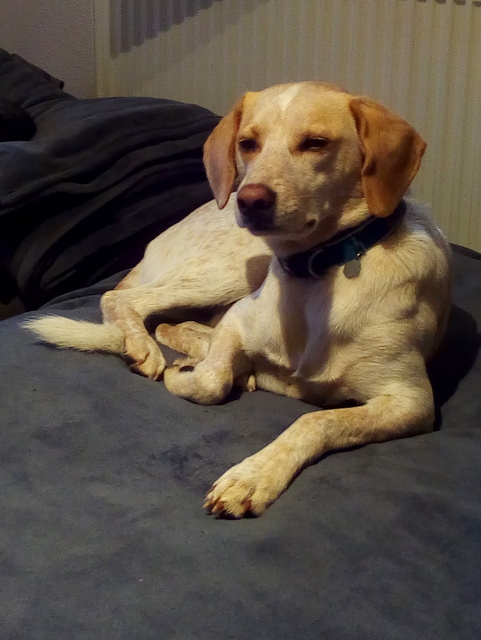 1 IMG 20170924 073613