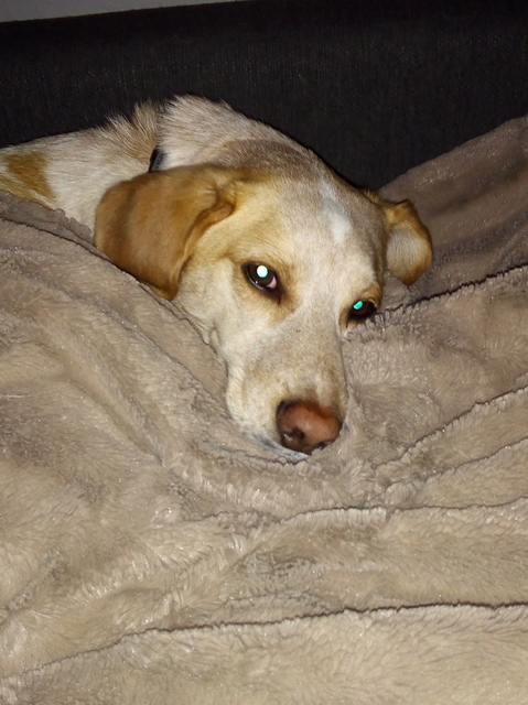 1 IMG 20171225 075214