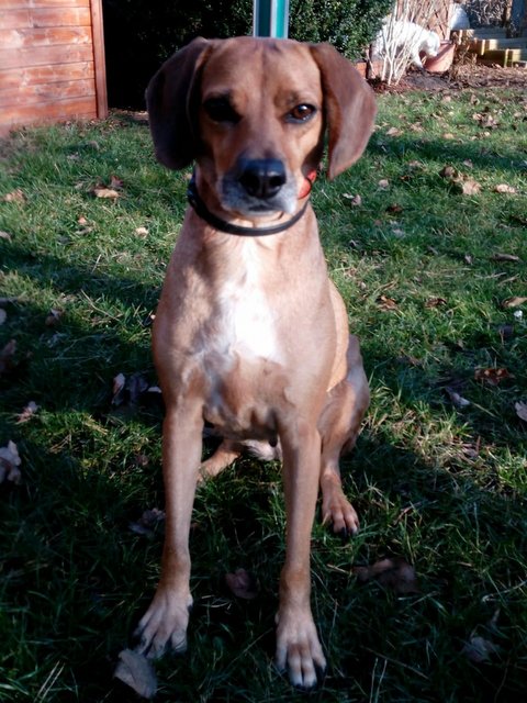 1 2PHOTO 2018 08 05 12 02 45