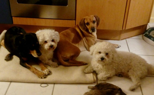 1 3PHOTO 2018 08 05 12 02 46