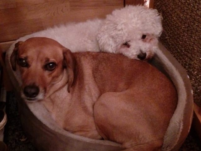 1 4PHOTO 2018 08 05 12 02 46