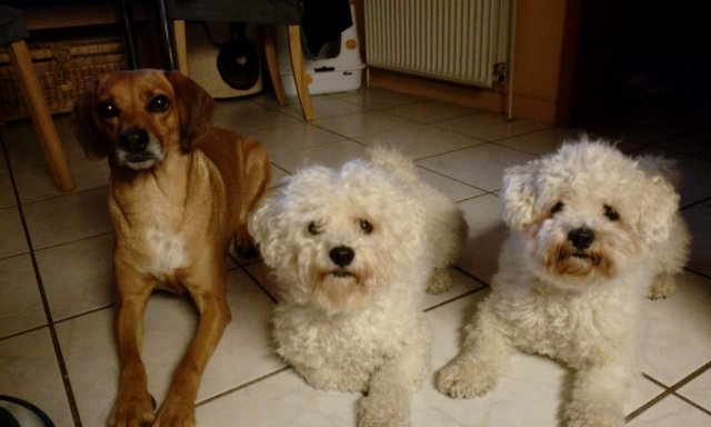 1 5PHOTO 2018 08 05 12 02 46