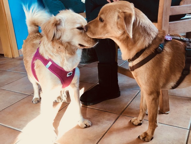 1 cid 565A6CB6 1C9C 4F75 94E6 1BE4946015FDfritz