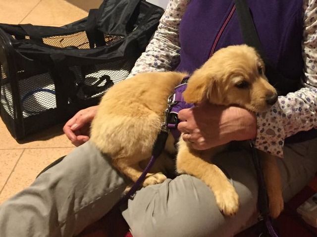 1 cid 780C62C3 F471 42CD A28C 6042275EADAAfritz