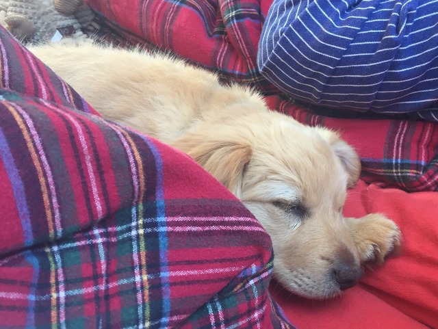 1 cid BE86765D AEFA 4C6C 96BB C000BEA3BA34fritz