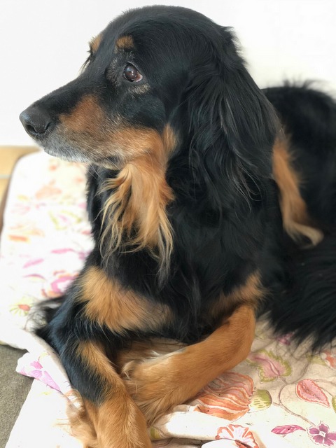 1 cid C7CA7870 6628 4550 B7D0 62F6B909847Bfritz