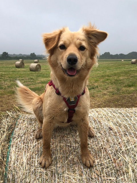 1 cid E2129C3B 2478 4243 A0AA FF54C94E480Cfritz 001